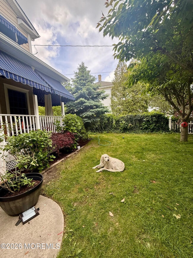 Building Photo - 331 Richmond Ave