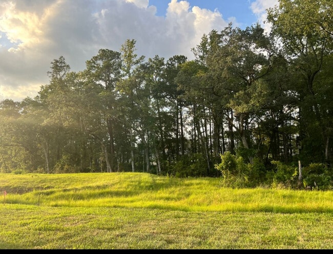 Building Photo - 35 White Rabbit Run