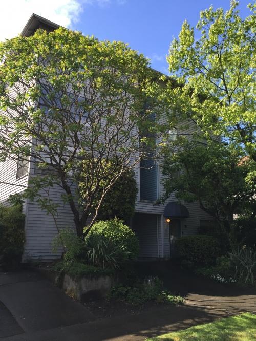 Primary Photo - 1 bedroom in Seattle WA 98119