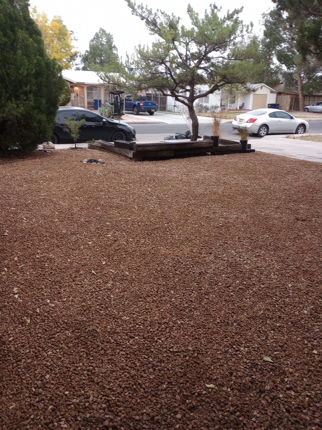 Building Photo - 805 Cagua Drive Southeast