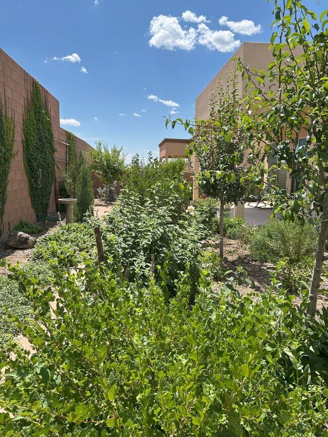 Building Photo - 56 Via Orilla Dorado