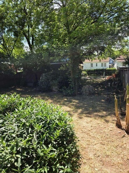 Back yard - 249 Powell St SE