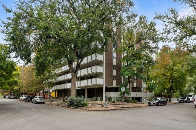 Building Photo - Gorgeous apartment in Cheesman Park!