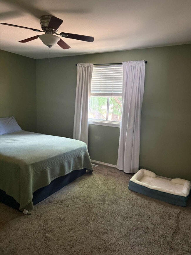 Building Photo - 4 Bedroom, 2 Bath Ranch Style Home w/ Finished Walkout Basement!