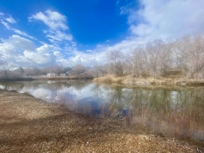 Building Photo - Three Bedroom Two and a Half Bath Home in the South Reno Crystal Lake Area