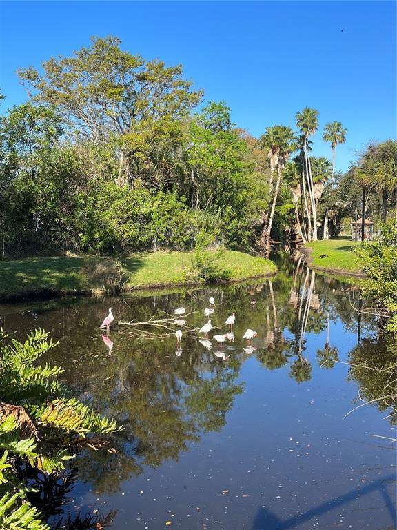 Building Photo - 3128 59th St S