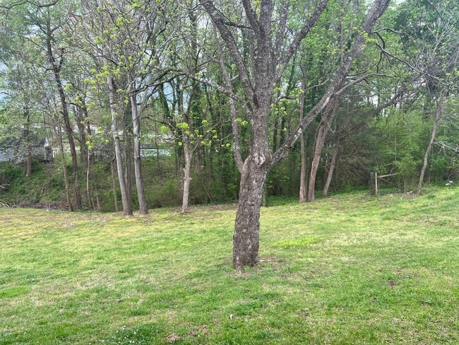 Building Photo - 733 Pine St