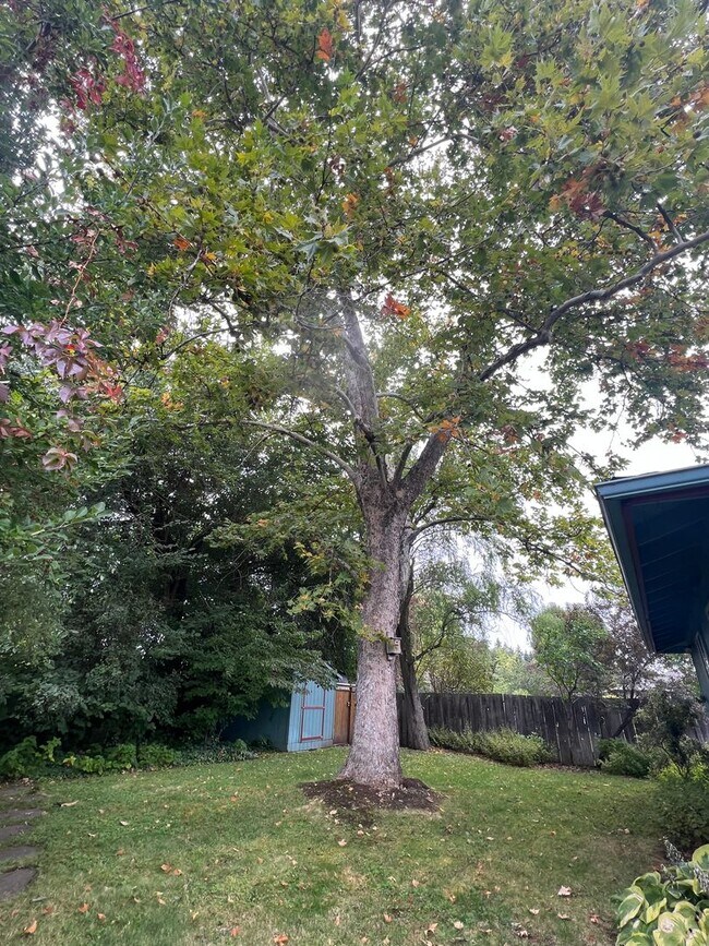 Building Photo - Comfy, four bedroom home in East Medford |...