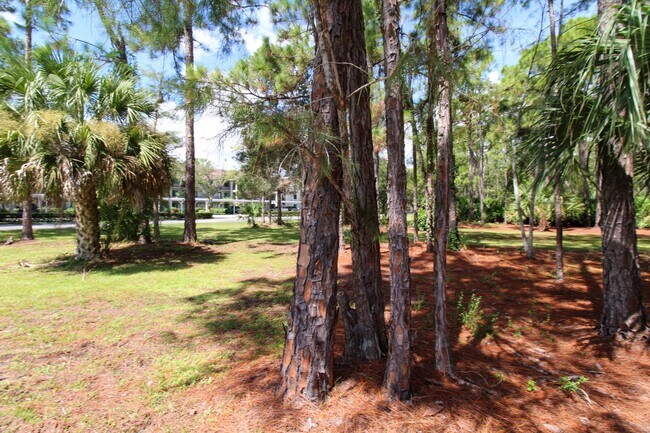 Building Photo - 5767 Deauville Cir