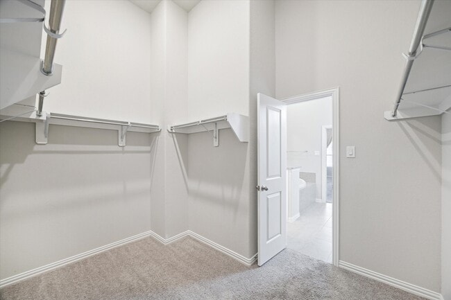 Building Photo - 28418 Asher Falls Ln