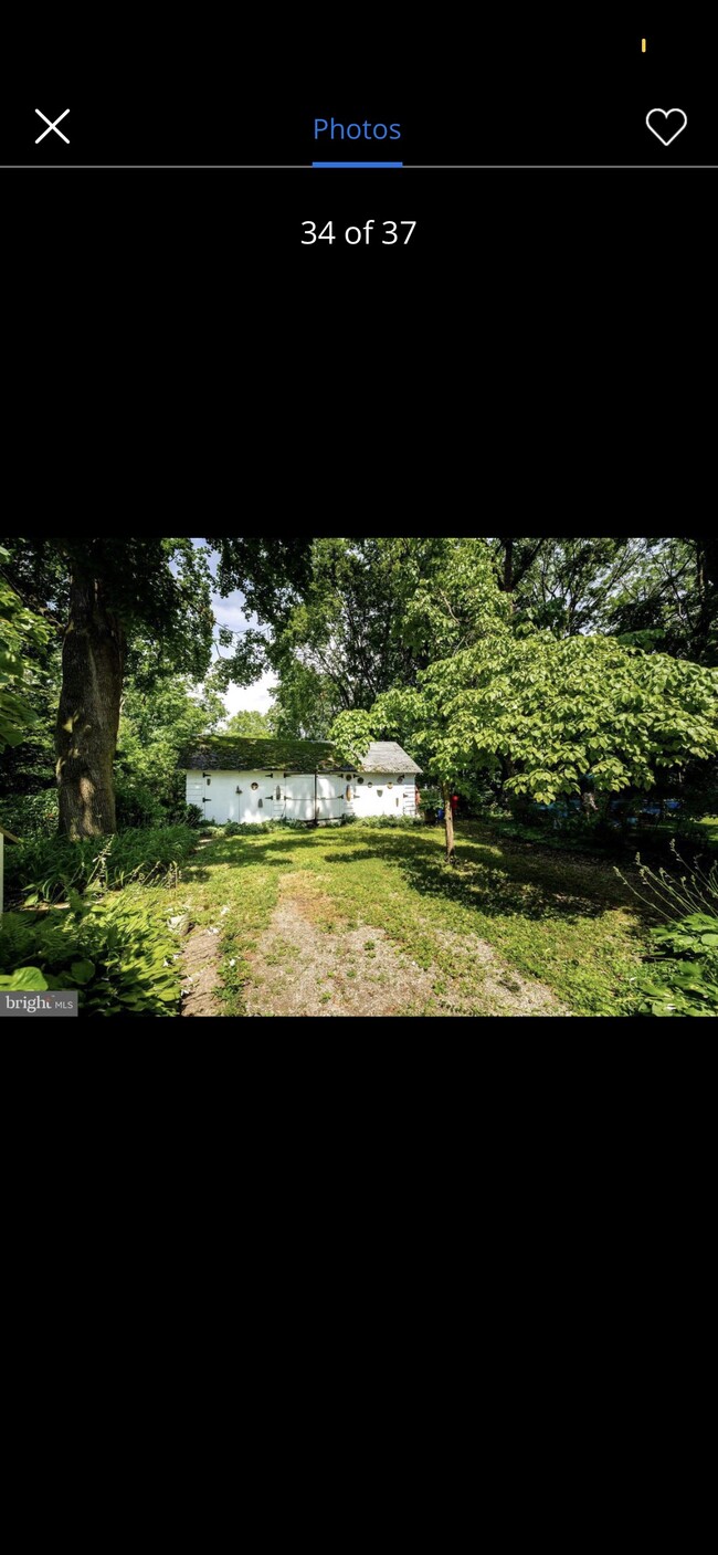 Backyard - 212 Mannion Ave