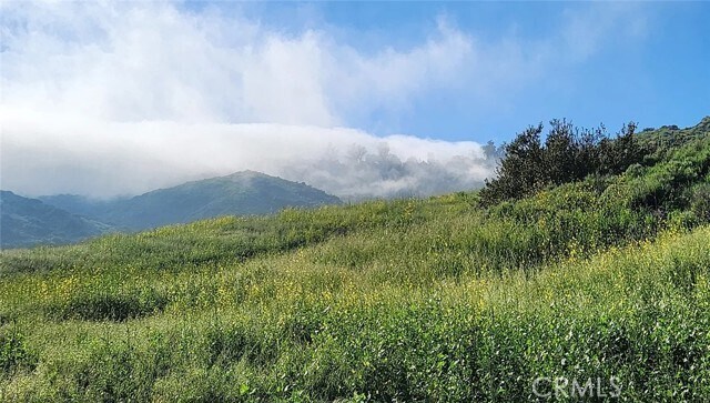 Building Photo - 24212 Davida