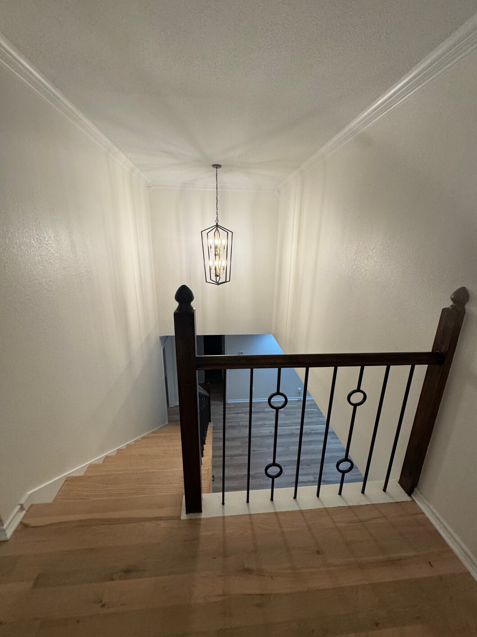 Building Photo - 3123 Bourbon Street Cir
