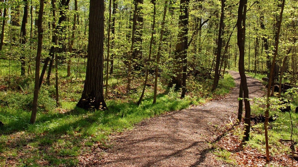 Building Photo - 6542 Bella Vista Dr NE