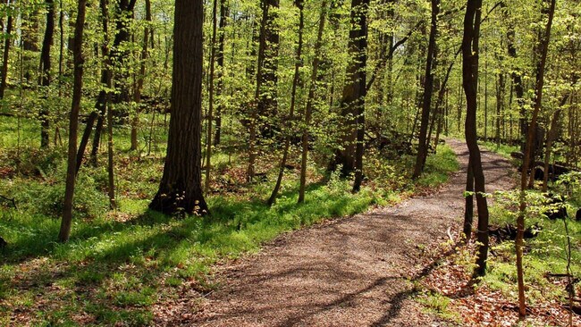 Building Photo - 6542 Bella Vista Dr NE