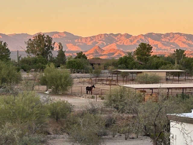 Building Photo - 100 N Lazy Fox Dr