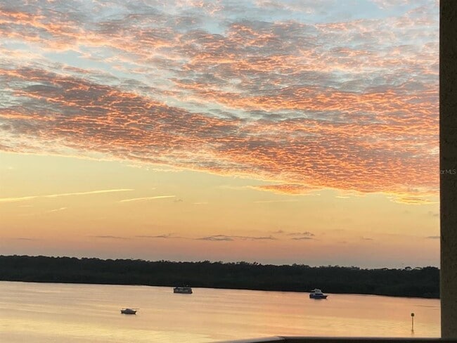 Building Photo - 8800 Bay Pines Blvd