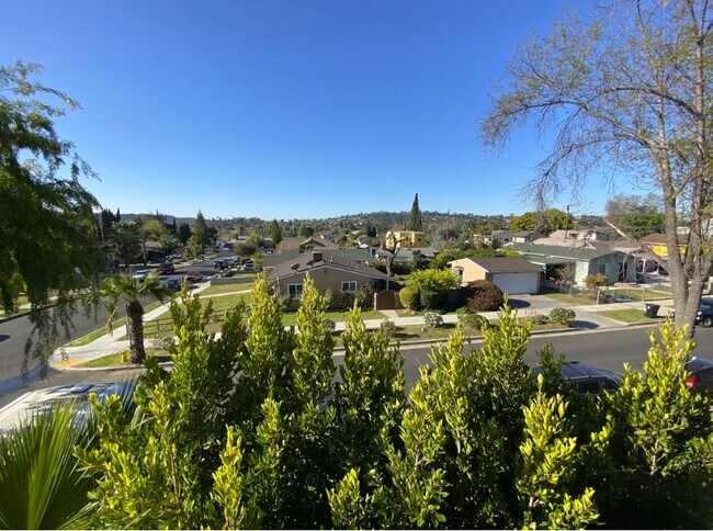 Views from the living room - 1733 Phillips Way