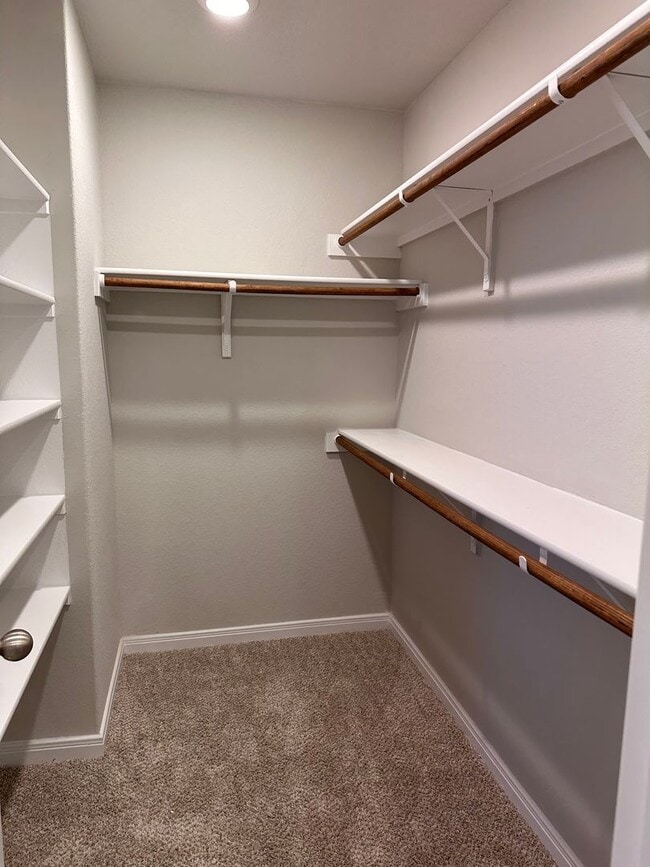 Building Photo - Gorgeous Luxury 3/2.5 Home