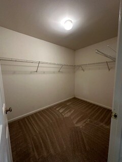 Building Photo - 109 Abelia Dr
