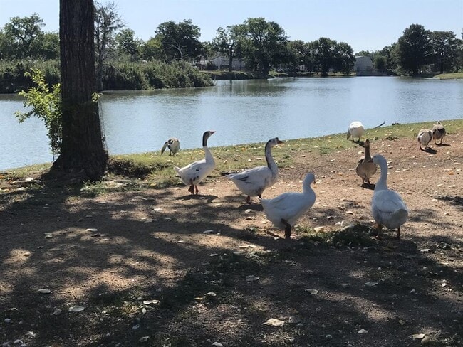 Building Photo - 1209 Vance St