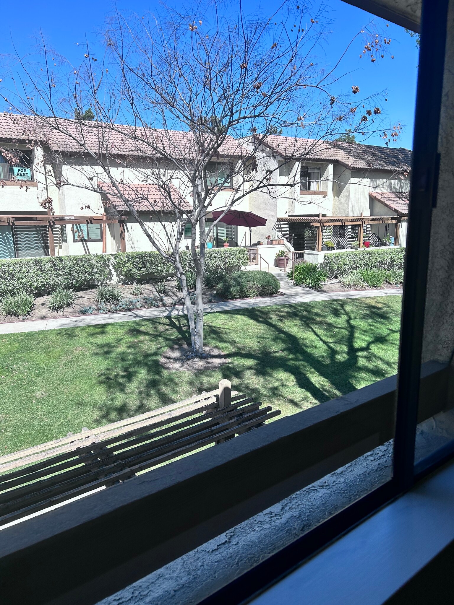 Building Photo - 781 Danville Dr