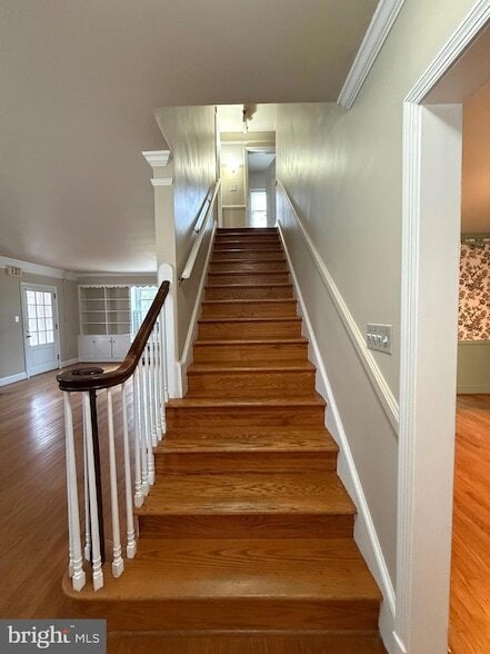 Building Photo - 118 St Marys Ave