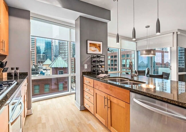 Building Photo - 505 N McClurg Ct