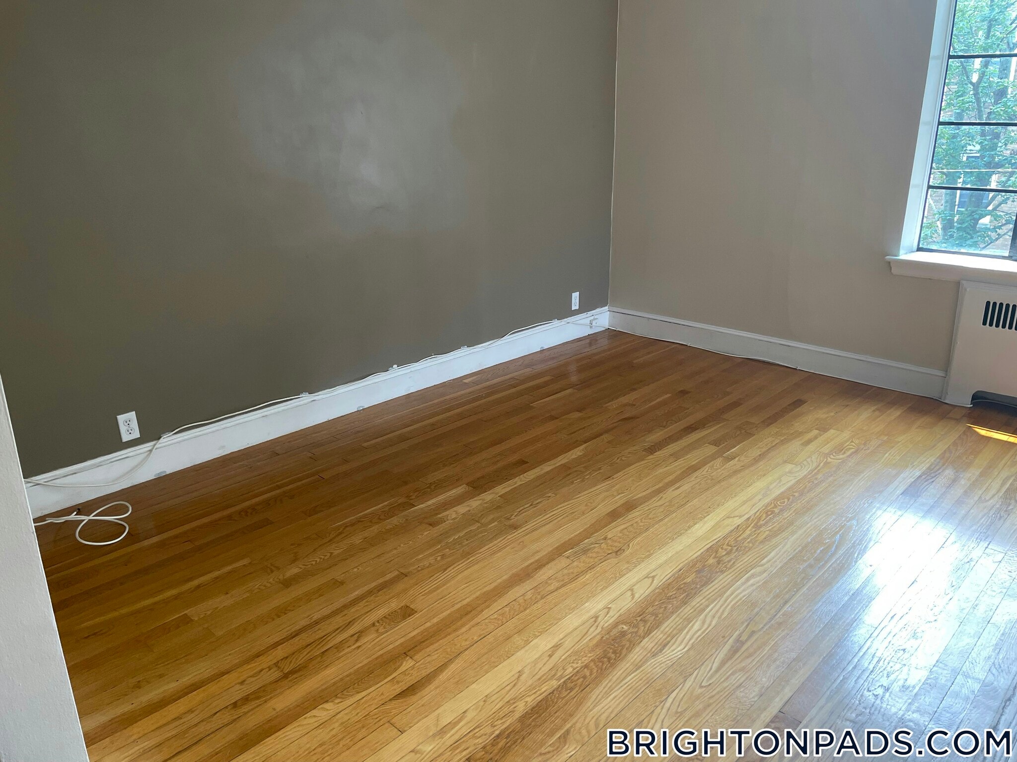 Building Photo - 97 Strathmore Rd