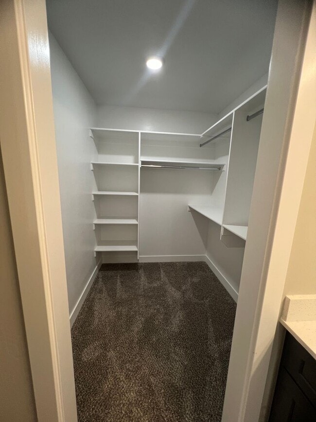 Building Photo - Ready To Move in! New 2 Bed 3 bath!