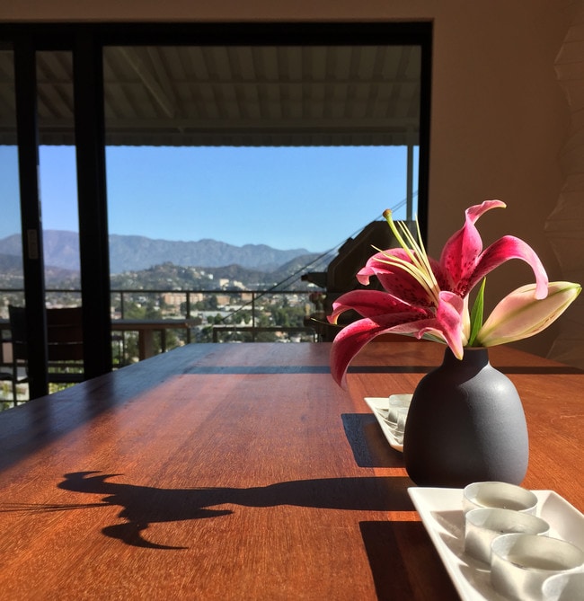 Mahogany dining table with views - 3277 Palmer Dr