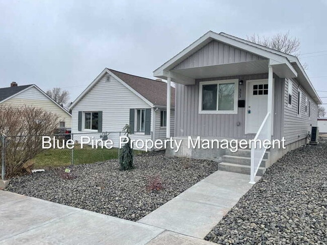 Primary Photo - 323 Gladstone St
