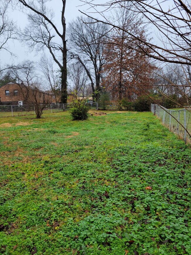 Building Photo - East Nashville 3 Bedroom Gem!