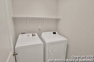 Building Photo - 183 Ringed Plover