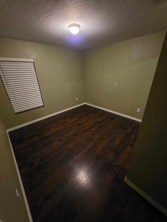 Building Photo - Beautiful Home near Busch Gardens!