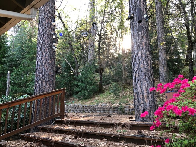 Building Photo - Gorgeous Alta Sierra Views with extra room.