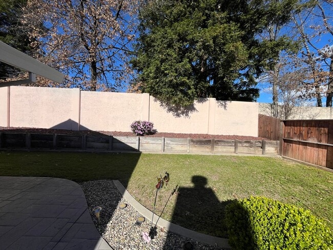 Building Photo - Spacious 4 bed 2 bath with landscaping inc...