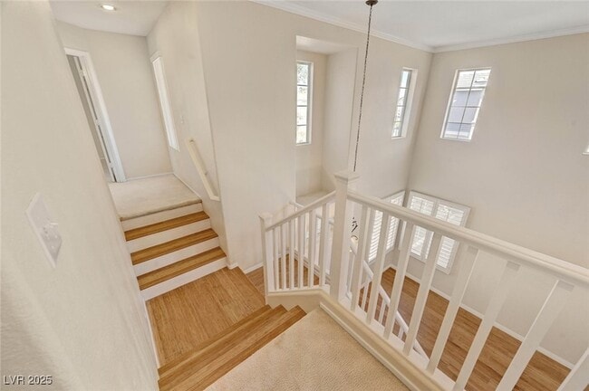 Building Photo - 4513 Long Horse Ct