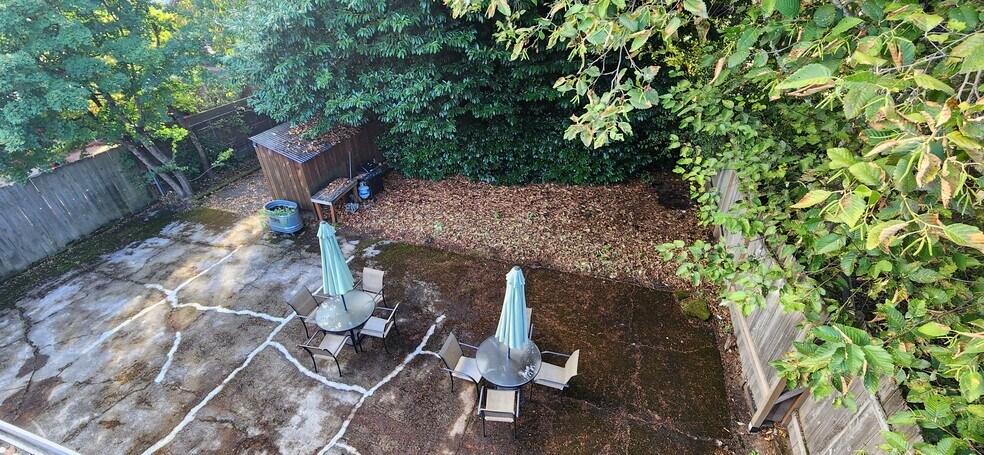 Backyard view from kitchen - 3009 SE 19th Ave