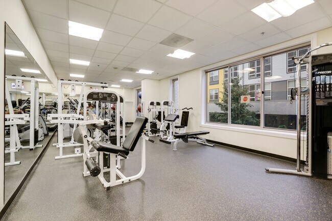 Gym - 2726 Gallows Rd