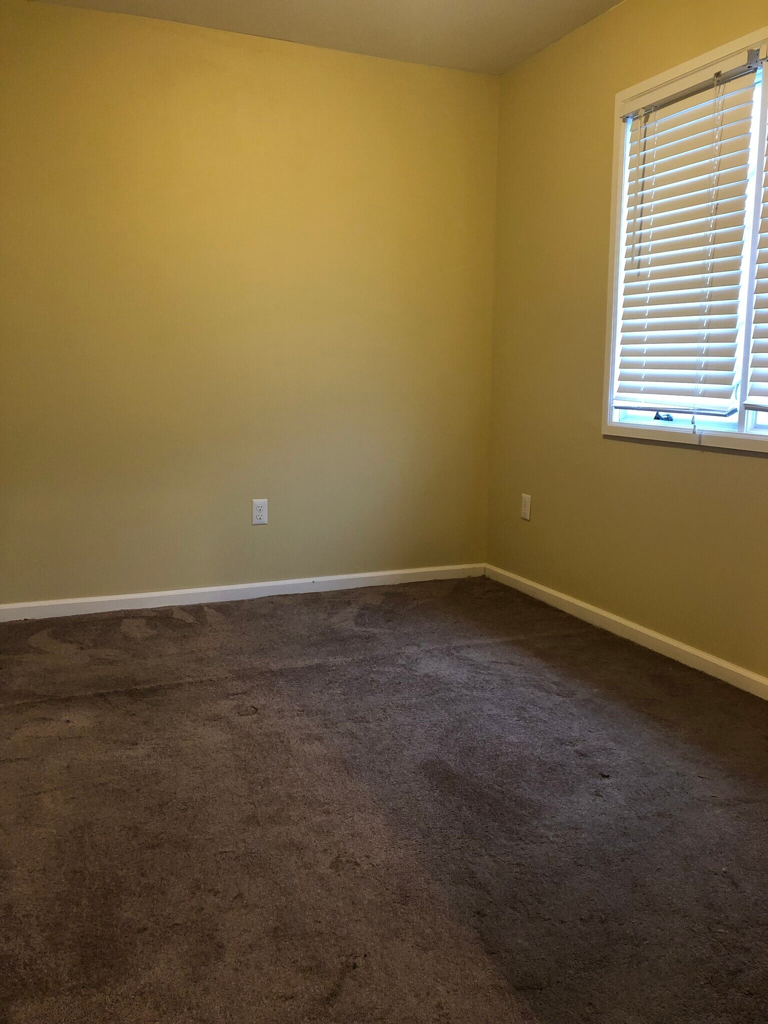 Building Photo - 272 Cleveland Ave