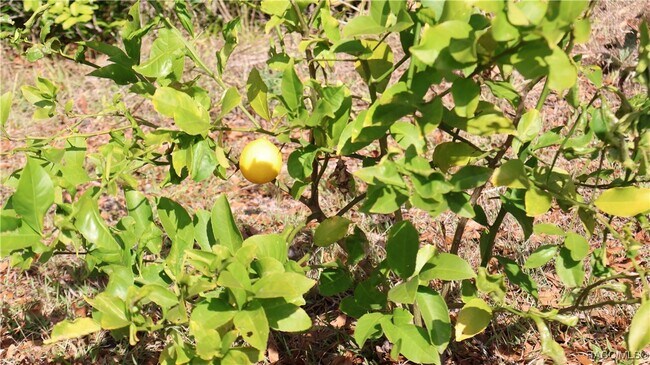 Building Photo - 9601 W Berry Ln