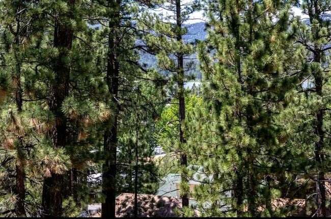 Building Photo - Serene Lakeview Cabin