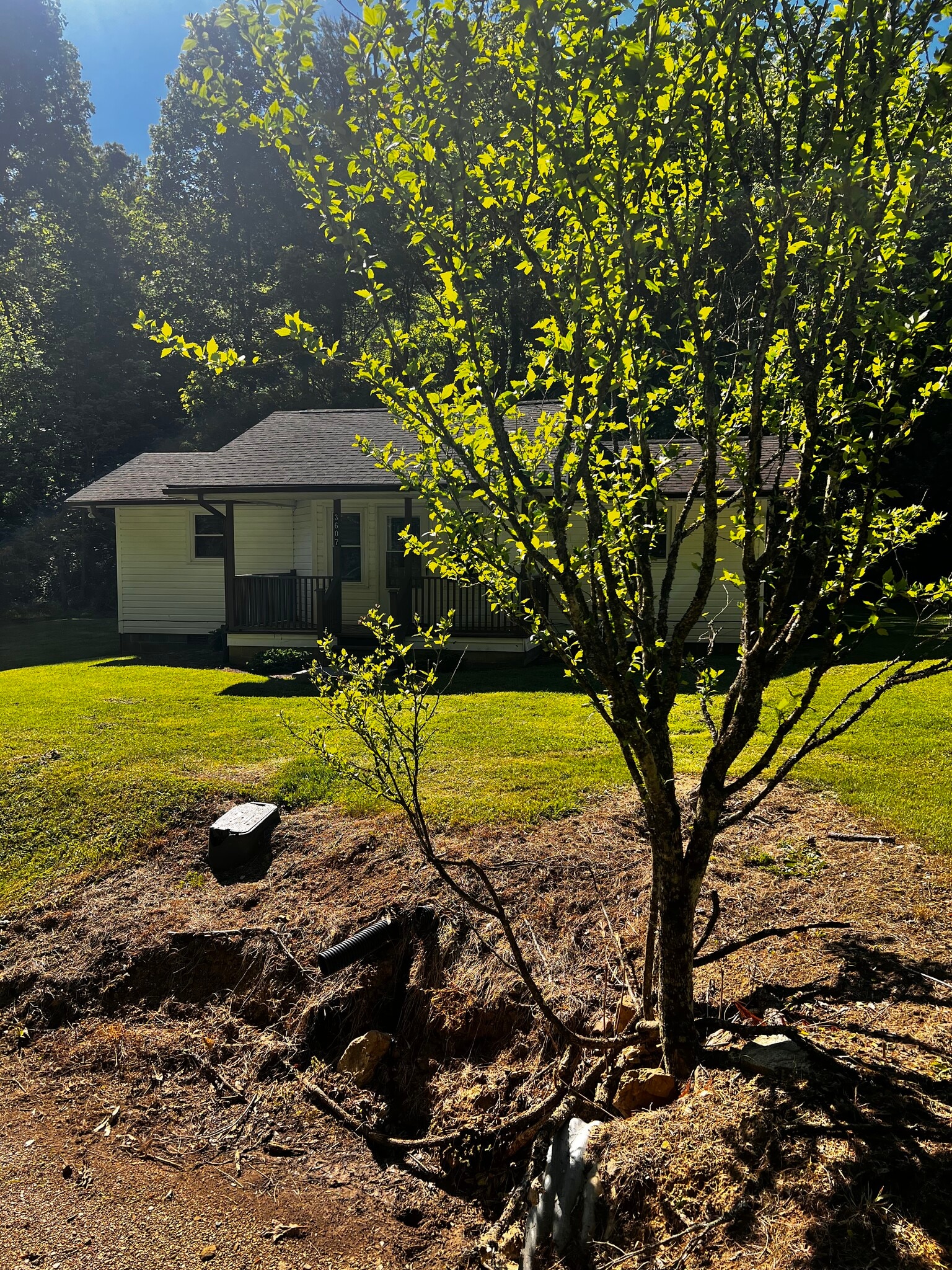 Building Photo - 3607 Sink Valley Rd