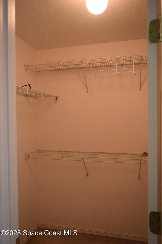 Building Photo - 501 Tortuga Way