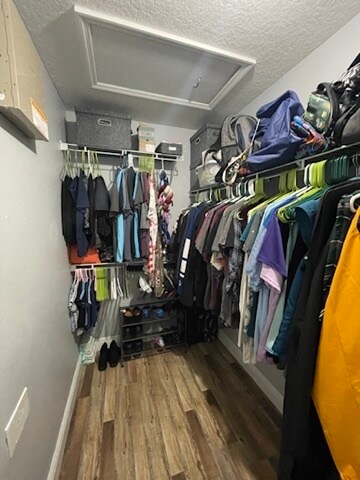 Building Photo - 2452 Hassonite St