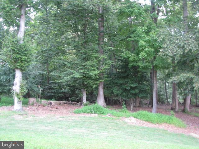 Building Photo - 2576 Tree House Dr