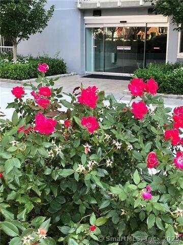 Primary Photo - 1 Strawberry Hill Ave