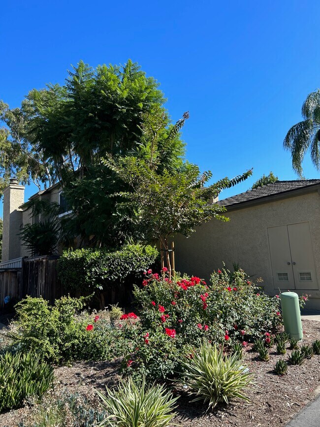 Building Photo - 29432 Dry Dock Cv