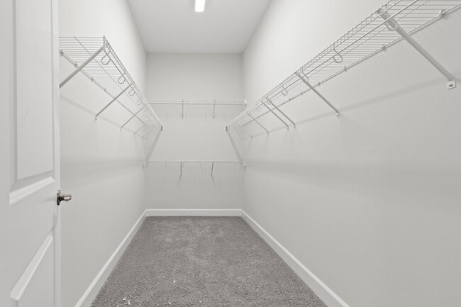 Building Photo - 13548 Spruce Pne Dr